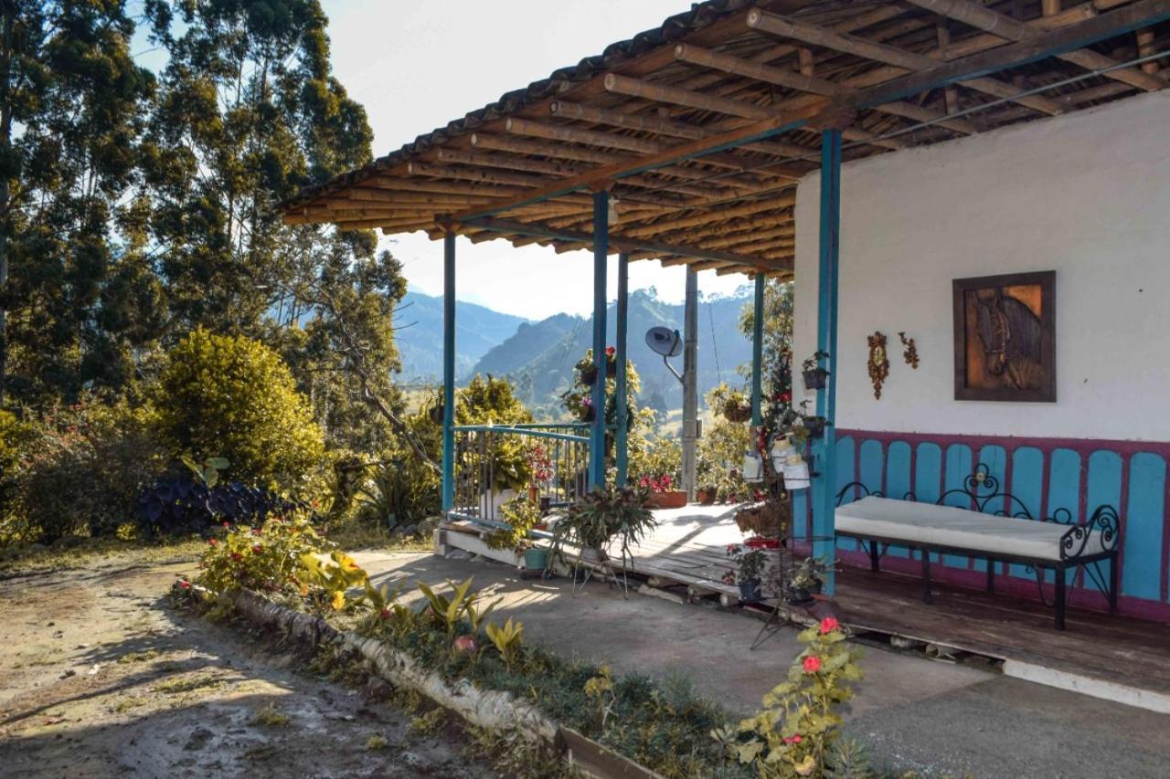 Hostel Rural La Montana Alquiyapura *